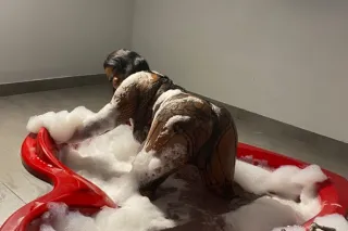 Come see me !! - 25 - Image 3